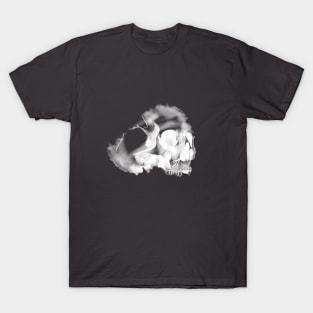 skull T-Shirt